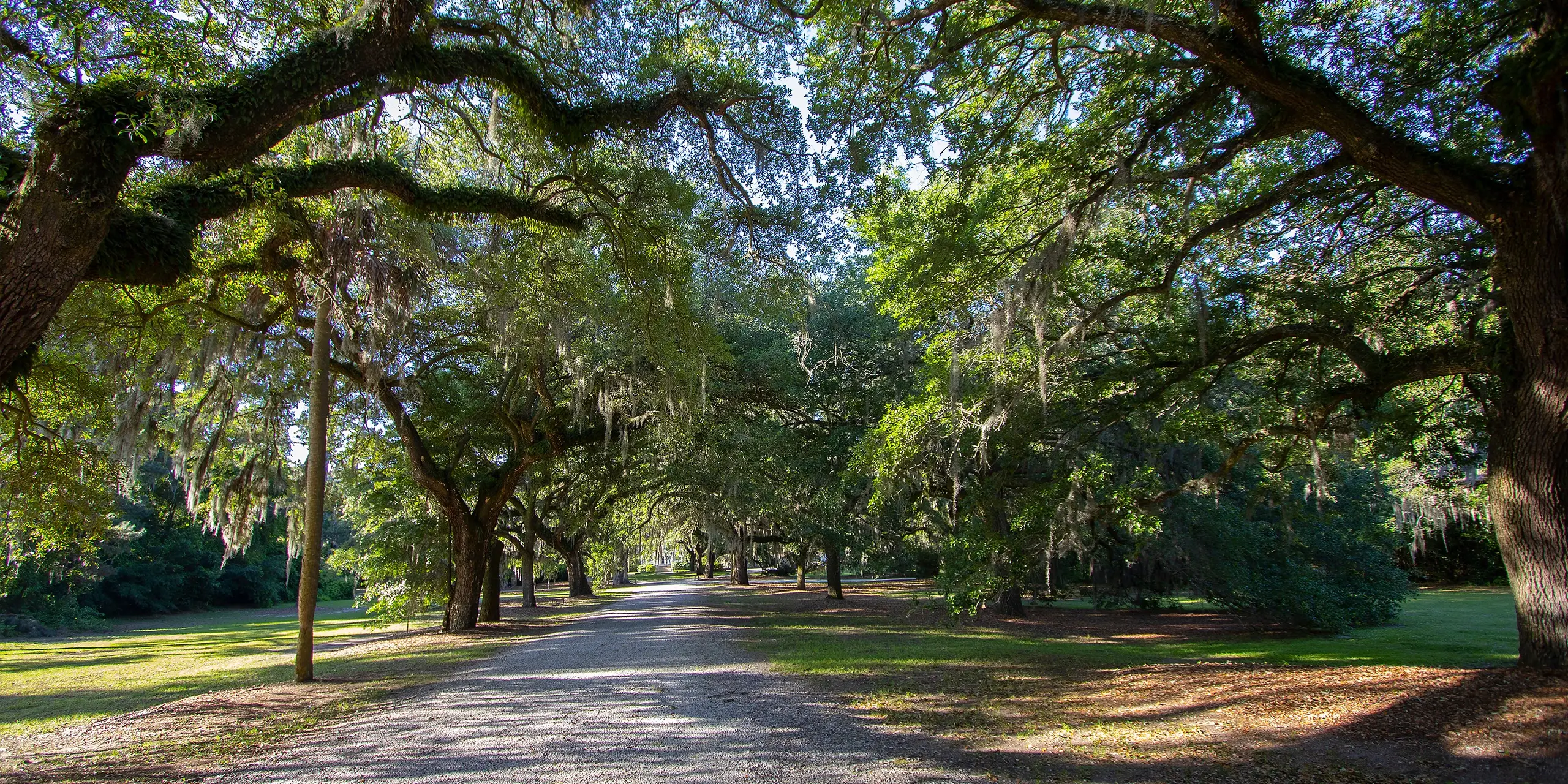 Insurance Agency in James Island SC