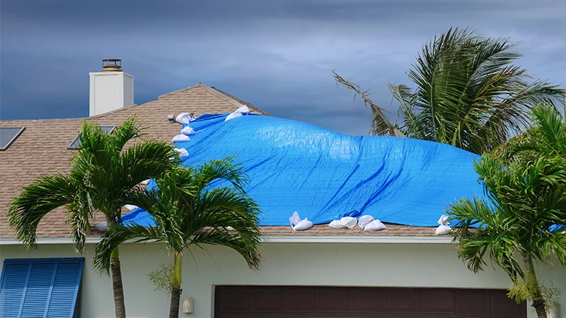 Windstorm And Hail Insurance - South Carolina